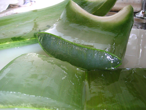 Aloe Vera to get rid of pimple scars