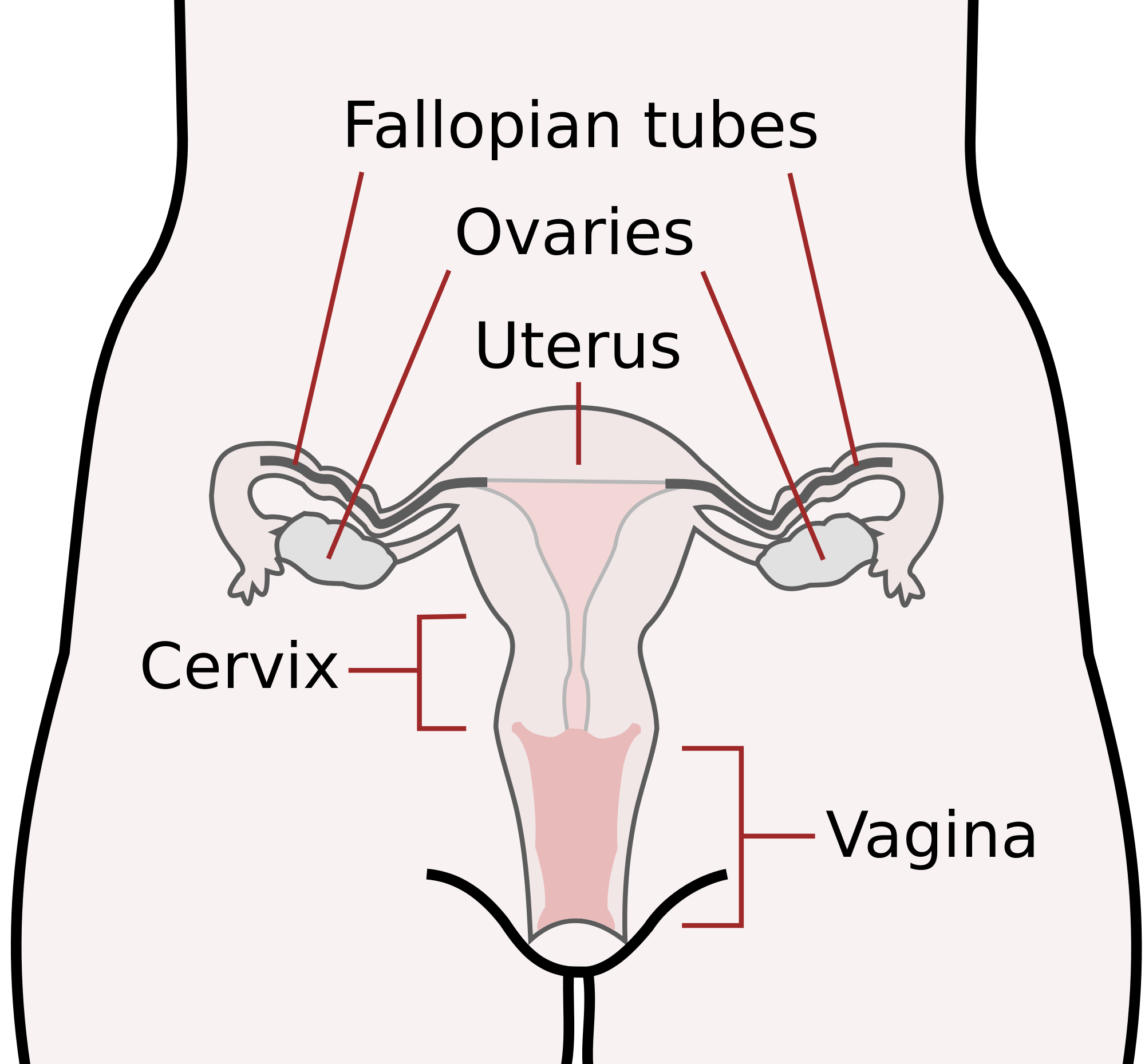 Cervical Cancer Symptoms