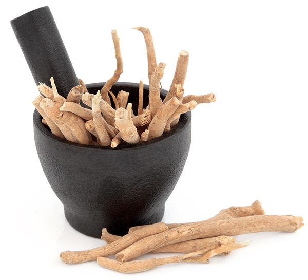 Ashwagandha root for women's health