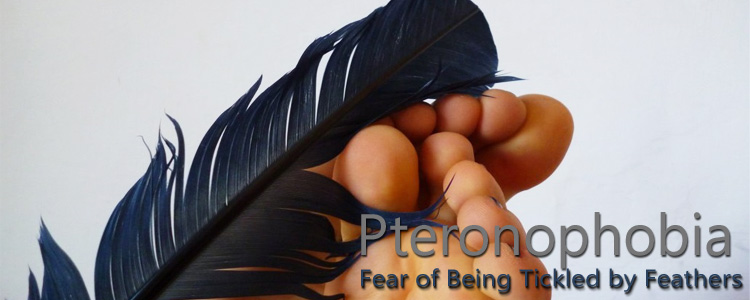 Pteronophobia – fear of being tickled by feathers