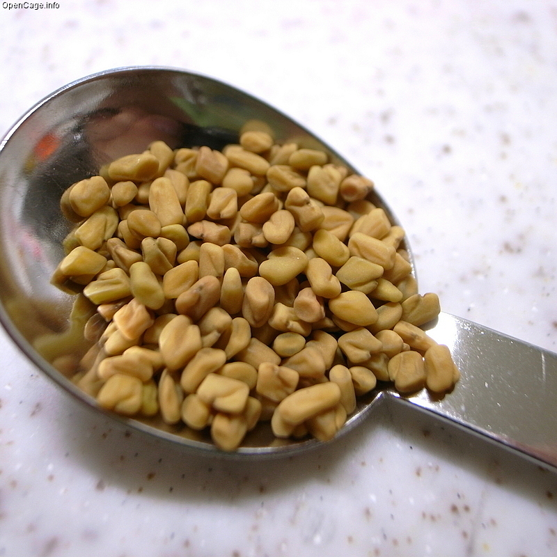 fenugreek reduces speed of digestion