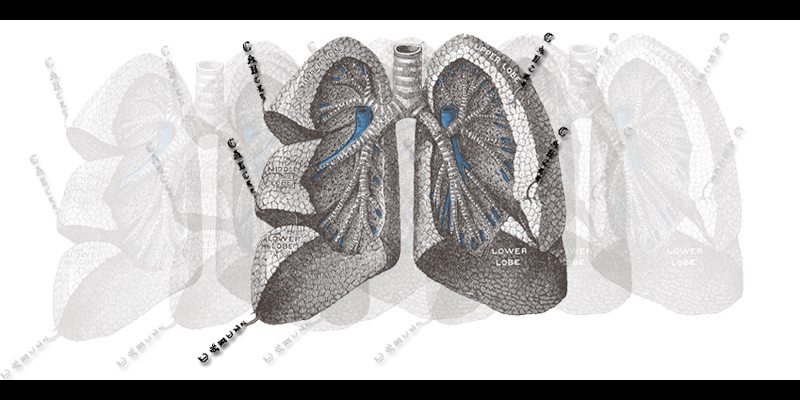 cancer tearing lungs apart