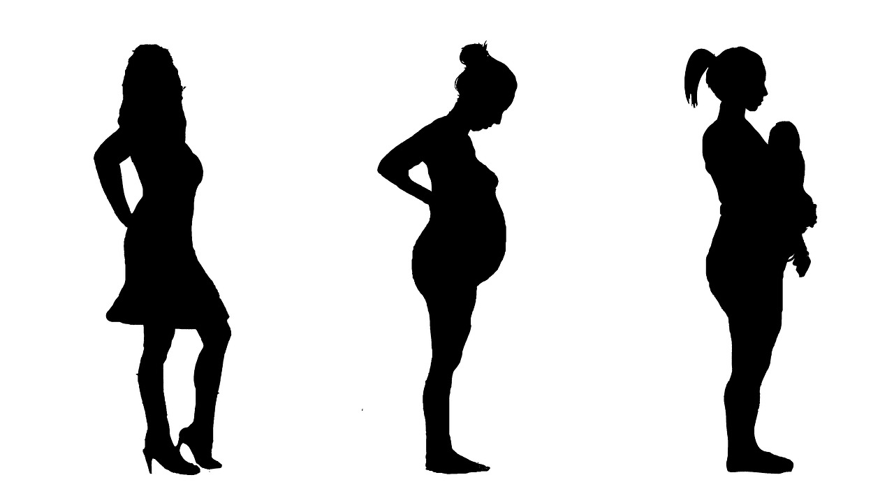 Different Phases of Pregnancy